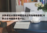 大数据云计算区块链龙头公司有哪些股票[大数云区块链技术是什么]