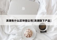 浪潮有什么区块链公司[浪潮旗下产品]